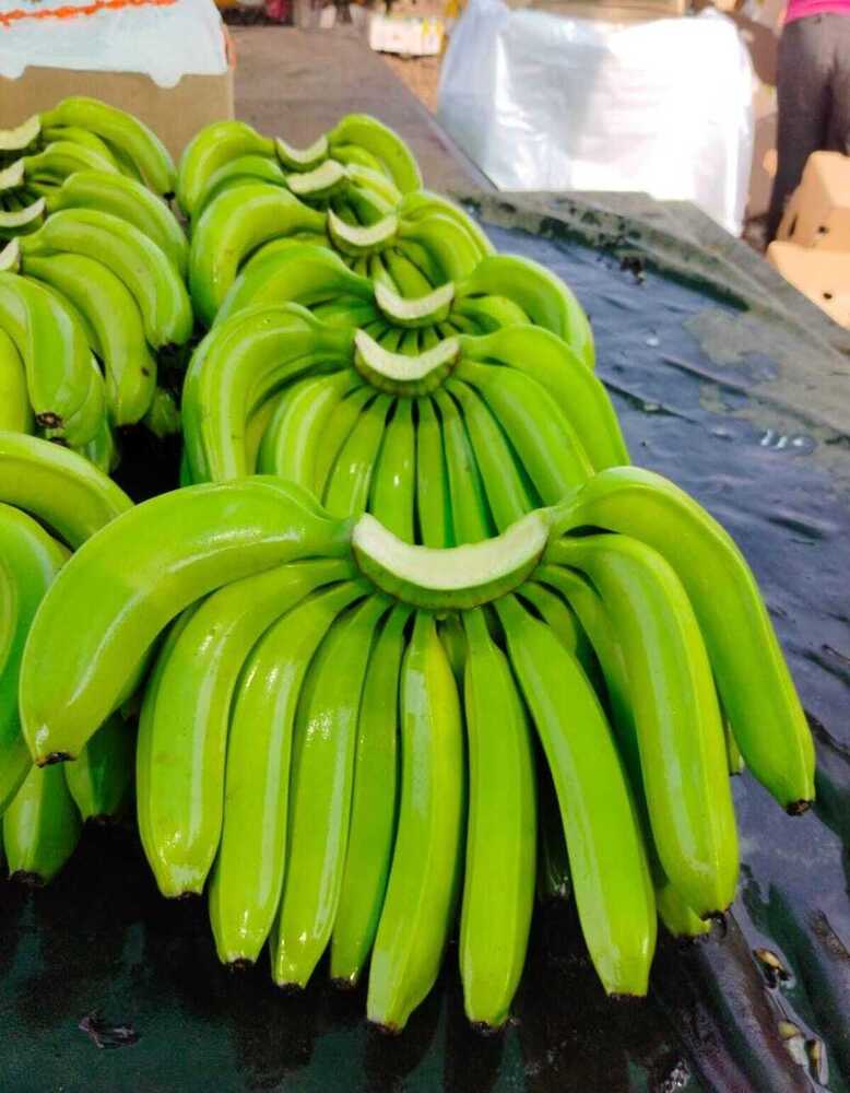 Fresh Green Banana