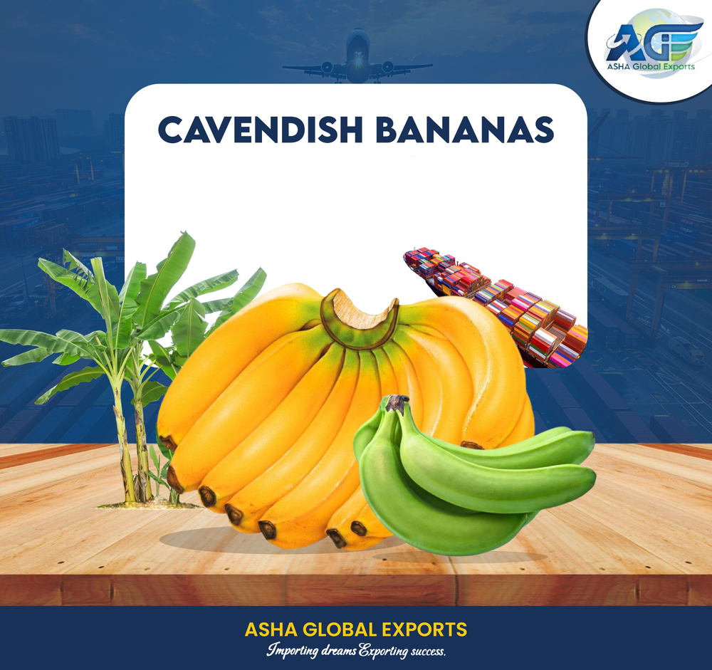 Cavendish Banana - Color: Green