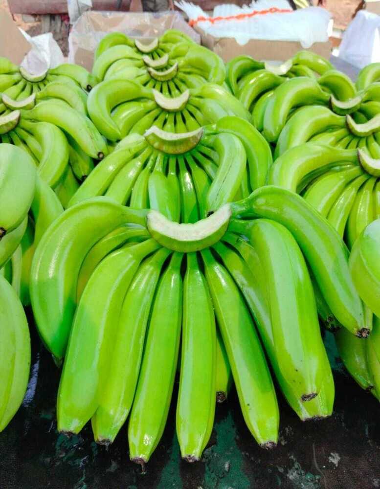 Cavendish Banana - Color: Green