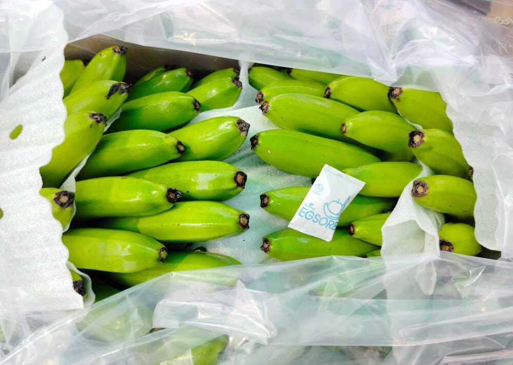 Cavendish Banana - Color: Green