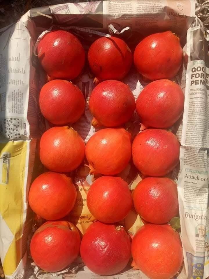 Best Quality Fresh Pomegranate - Color: Red
