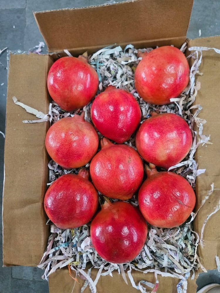 Export Quality Fresh Pomegranate - Color: Red