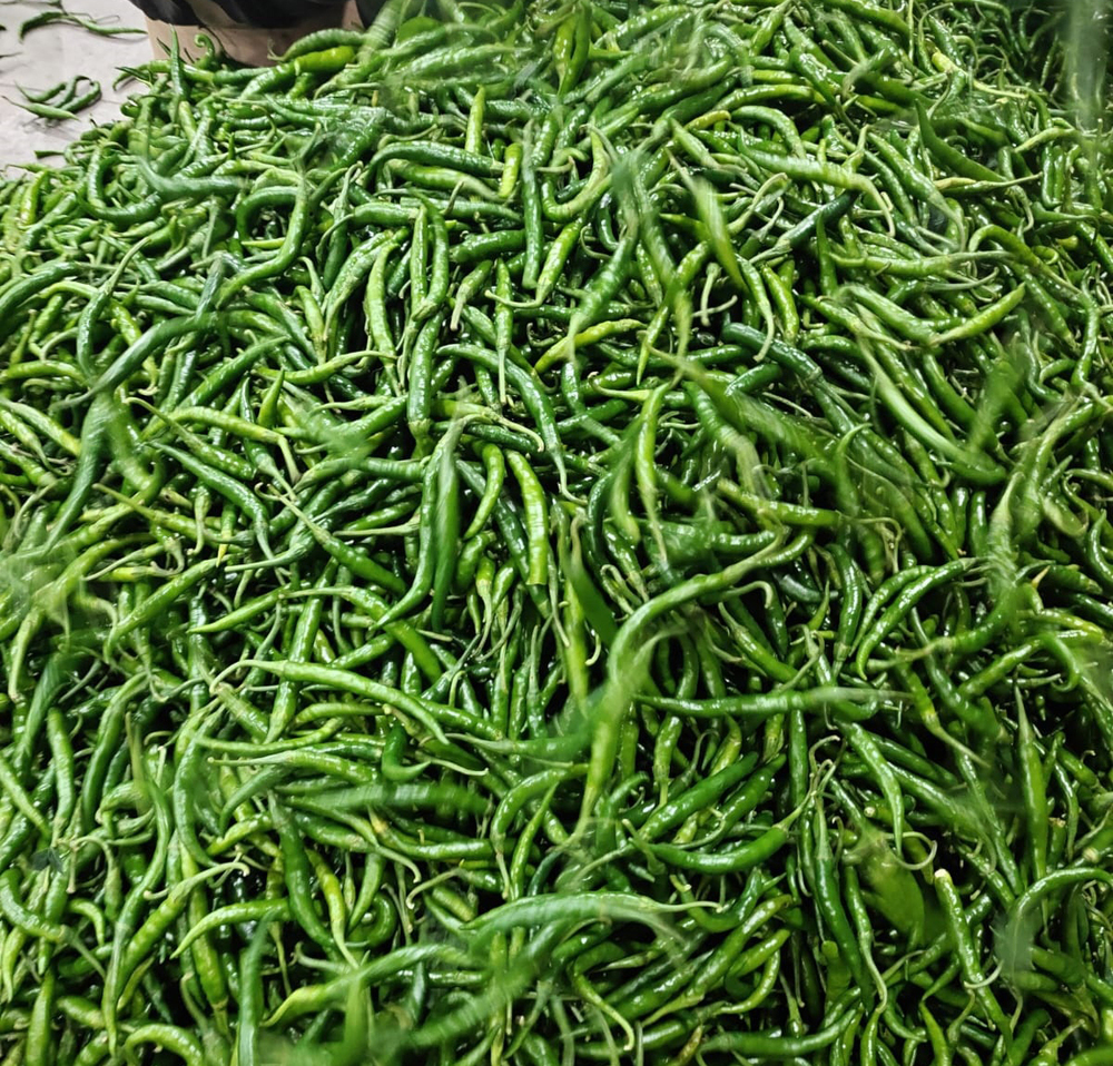 Best Quality Green Chillies
