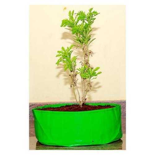 24X6 Inch Round HDPE Grow Bag