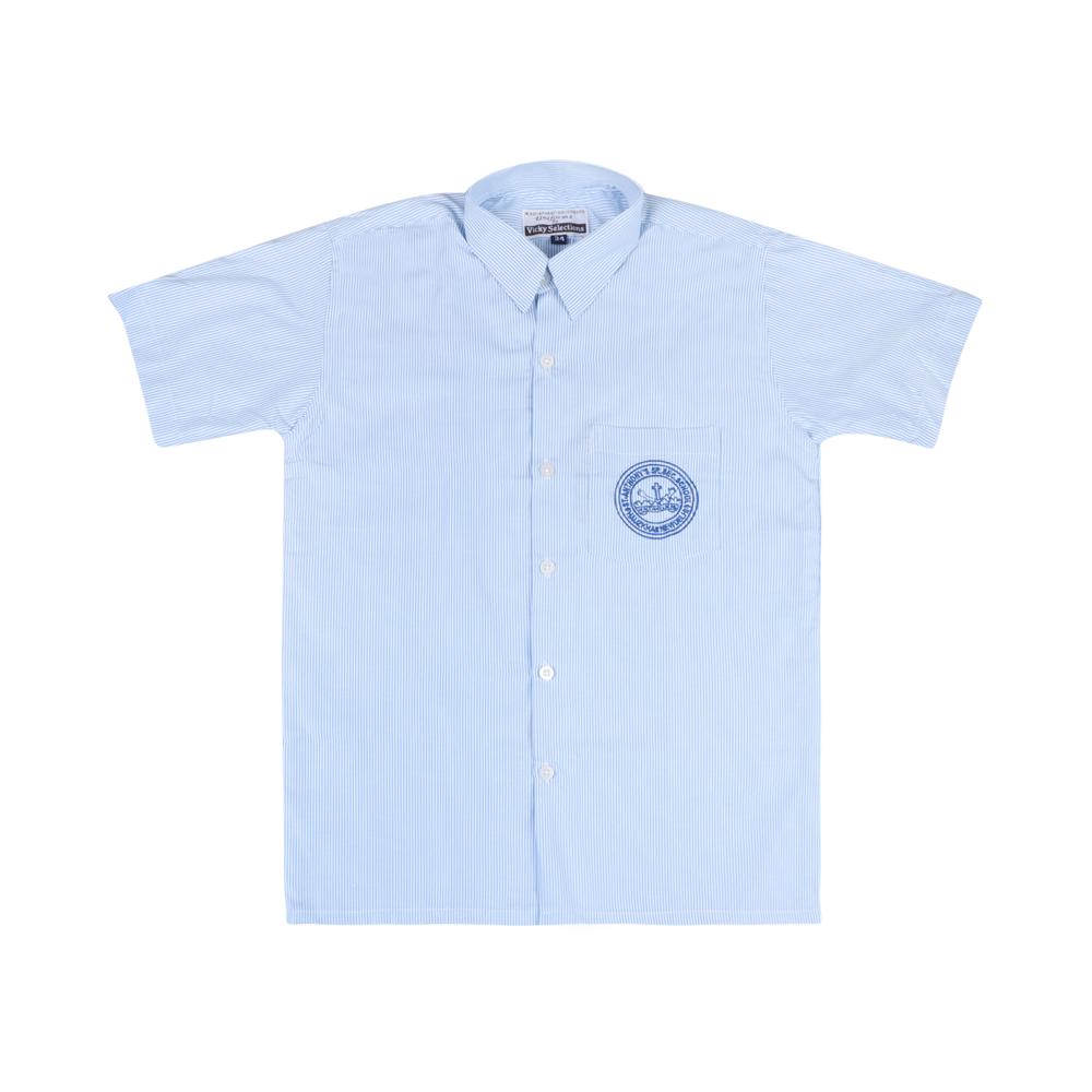 Sky Blue Half Sleeve Shirt - Age Group: Nursery To 12th