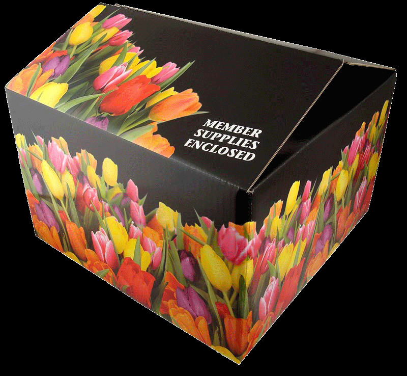 Printed Box - Material: Corrugated Board