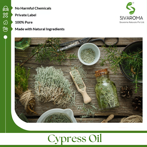 Cypress Oil - Age Group: All Age Group