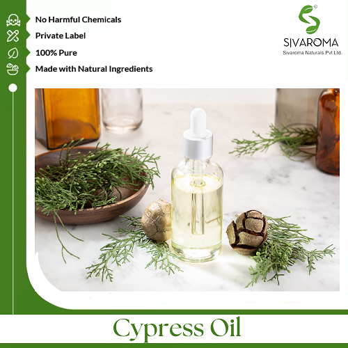 Cypress Oil - Age Group: All Age Group