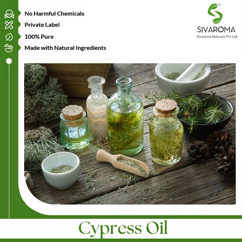 Cypress Oil - Age Group: All Age Group