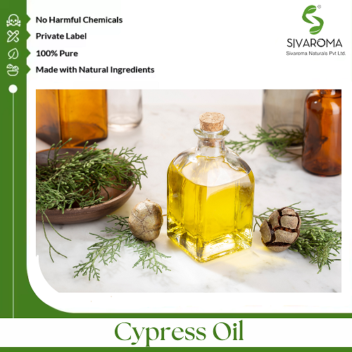 Cypress Oil - Age Group: All Age Group
