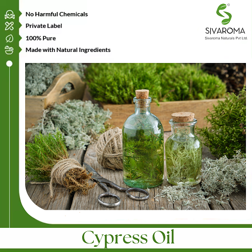 Cypress Oil - Age Group: All Age Group