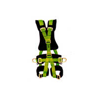 Full Body Harness