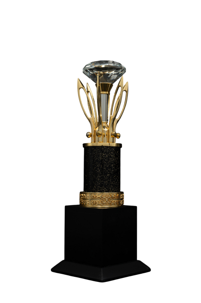 Rolex Diamond-1002-S Award - Color: Various Colors