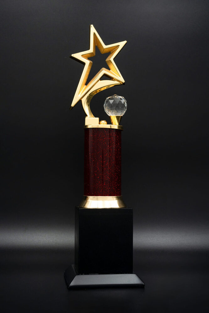 Omega Star-1004-M Award