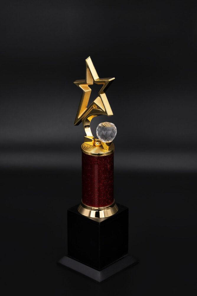 Omega Star-1004-M Award