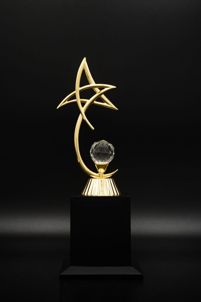 Electron-1005-M Award