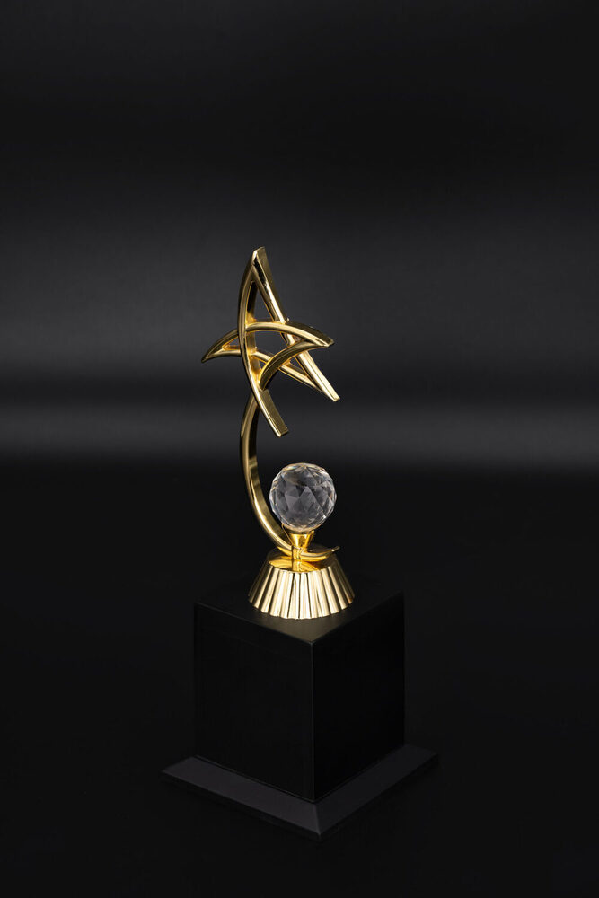 Electron-1005-M Award