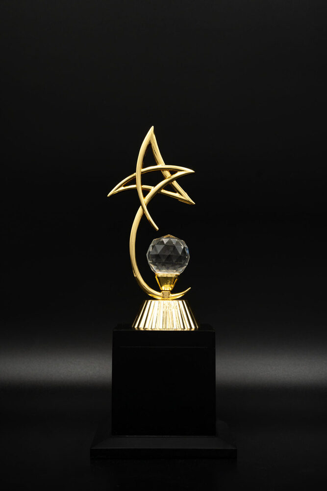 Electron-1005-S Award