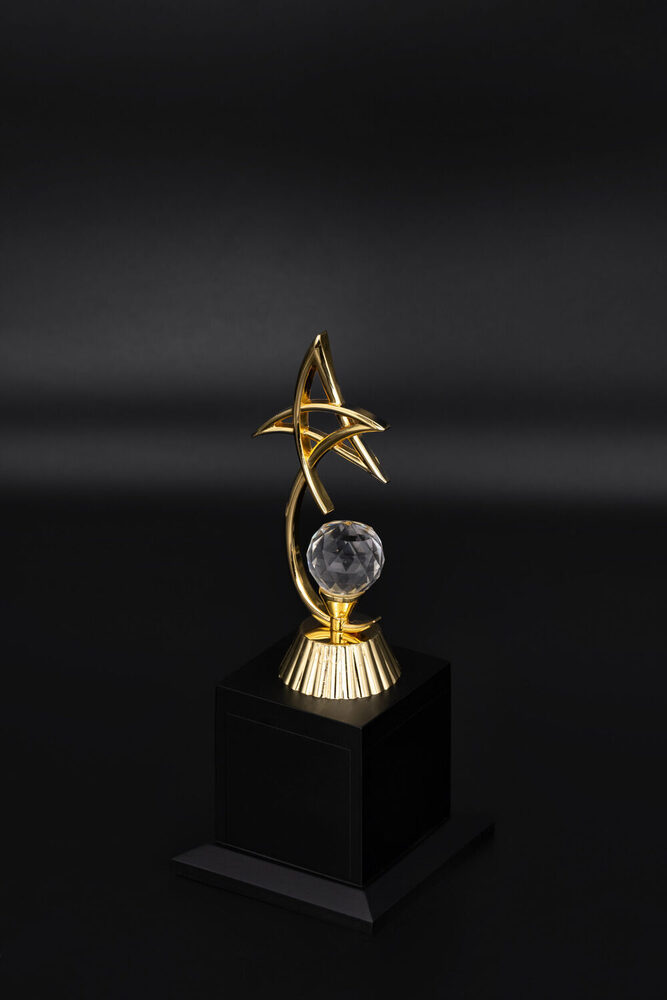 Electron-1005-S Award