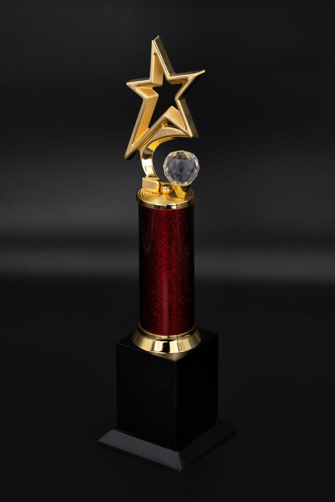 Omega Star-1004-L Award