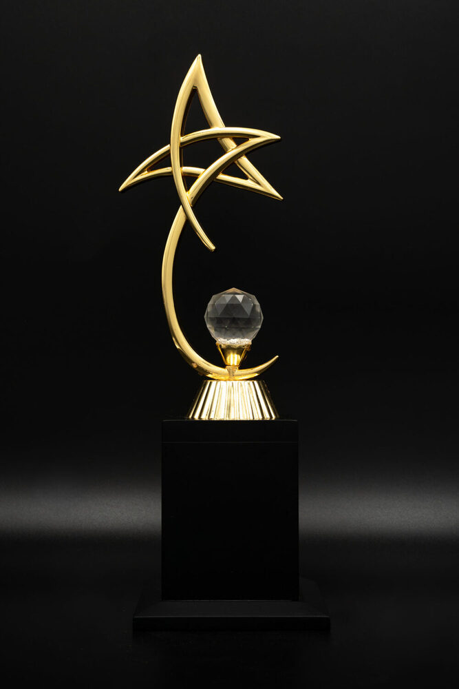 Electron-1005-L Award