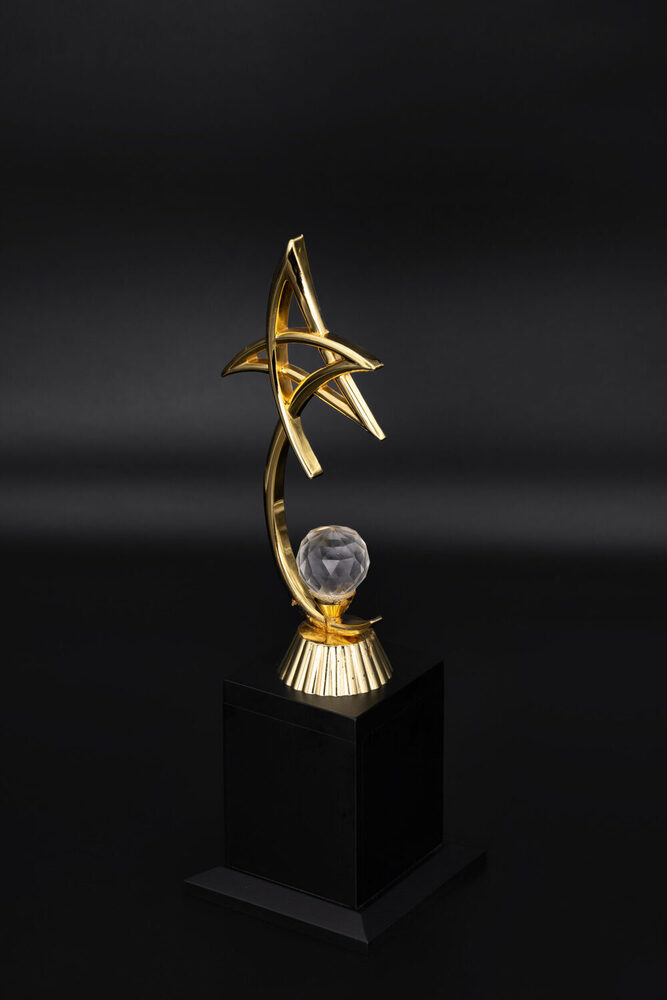 Electron-1005-L Award