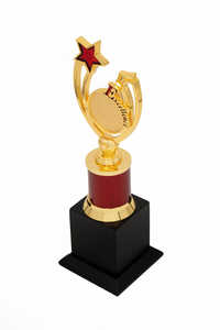 Excellence Star-1010-S Award