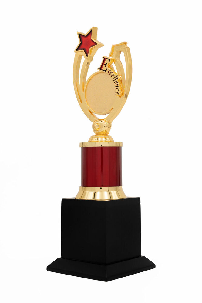 Excellence Star-1010-S Award