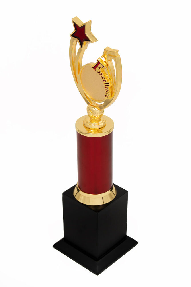 Excellence Star-1010-M Award