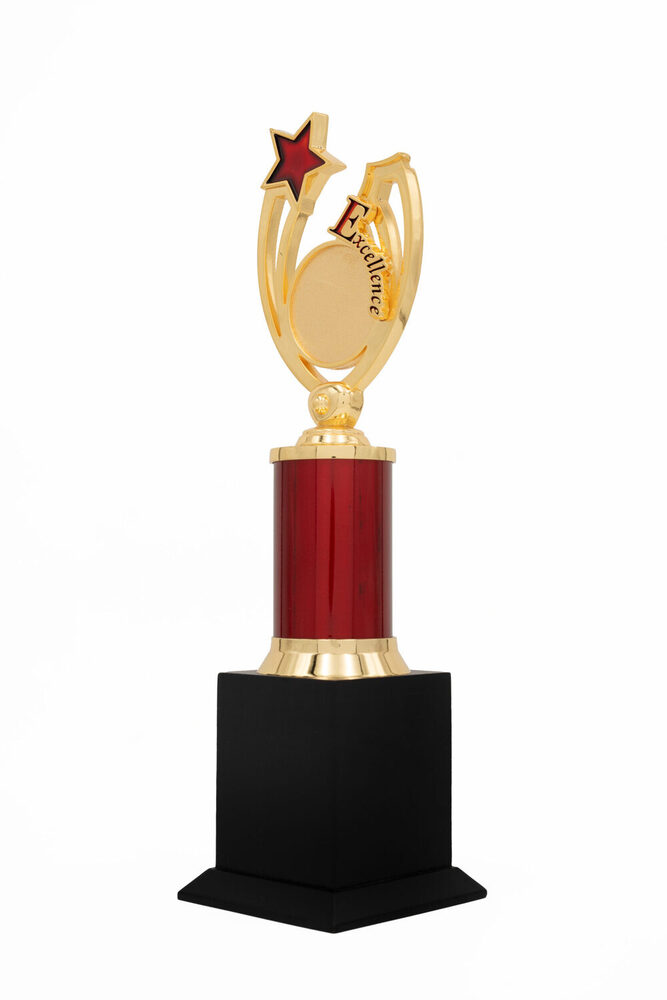 Excellence Star-1010-M Award