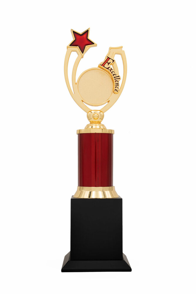 Excellence Star-1010-M Award