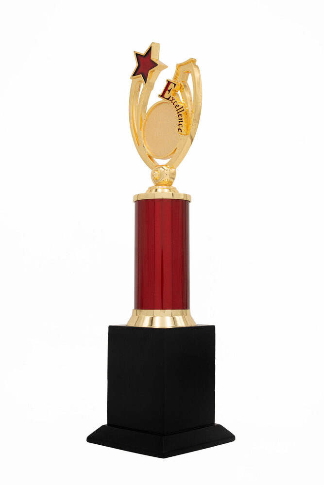 Excellence Star-1010-L Award