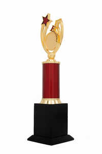 Excellence Star-1010-L Award