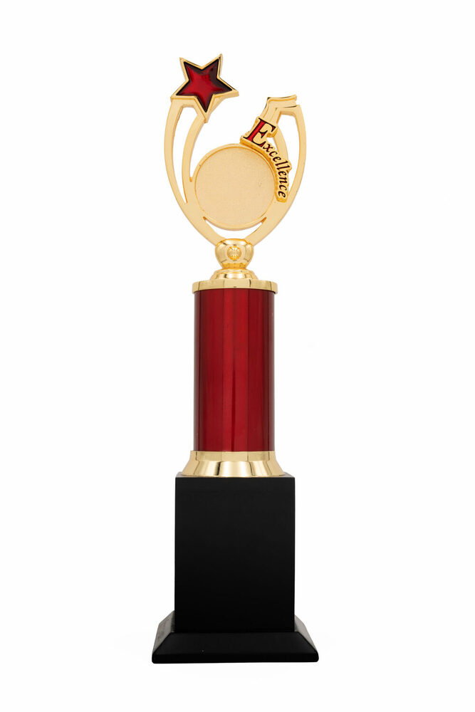 Excellence Star-1010-L Award