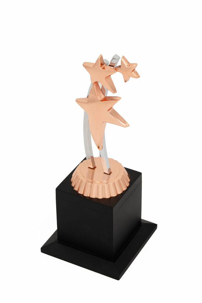 Corporate Star-1030-C Award - Color: Various Colors