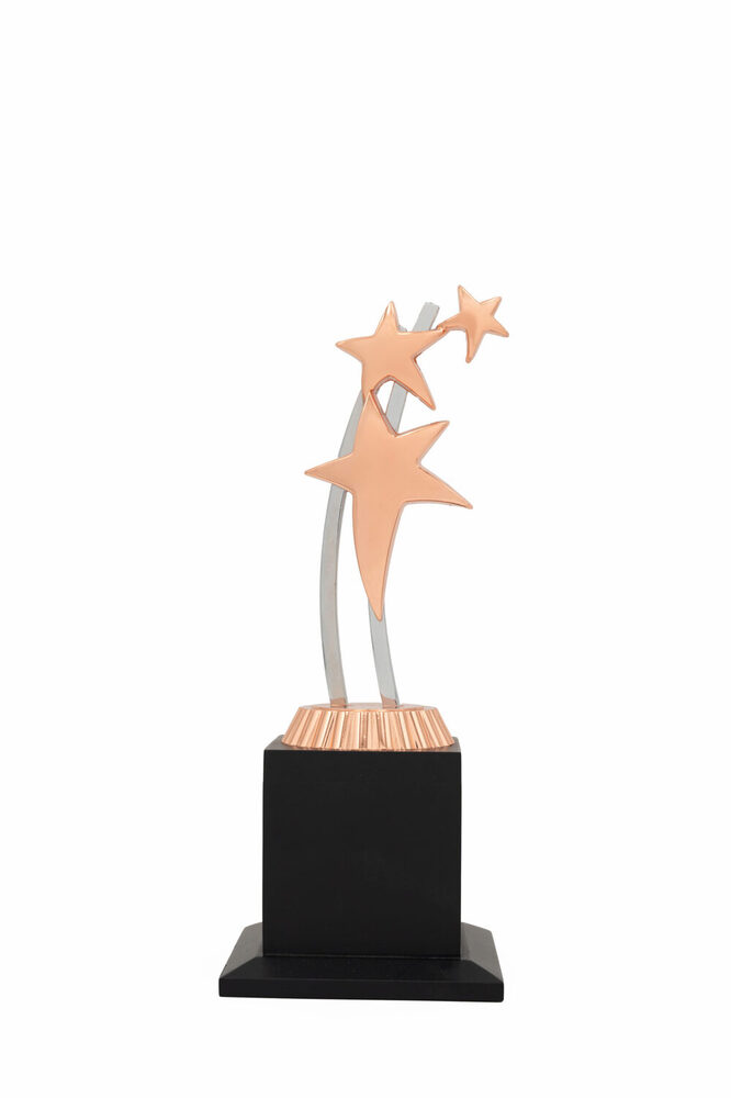 Corporate Star-1030-C Award