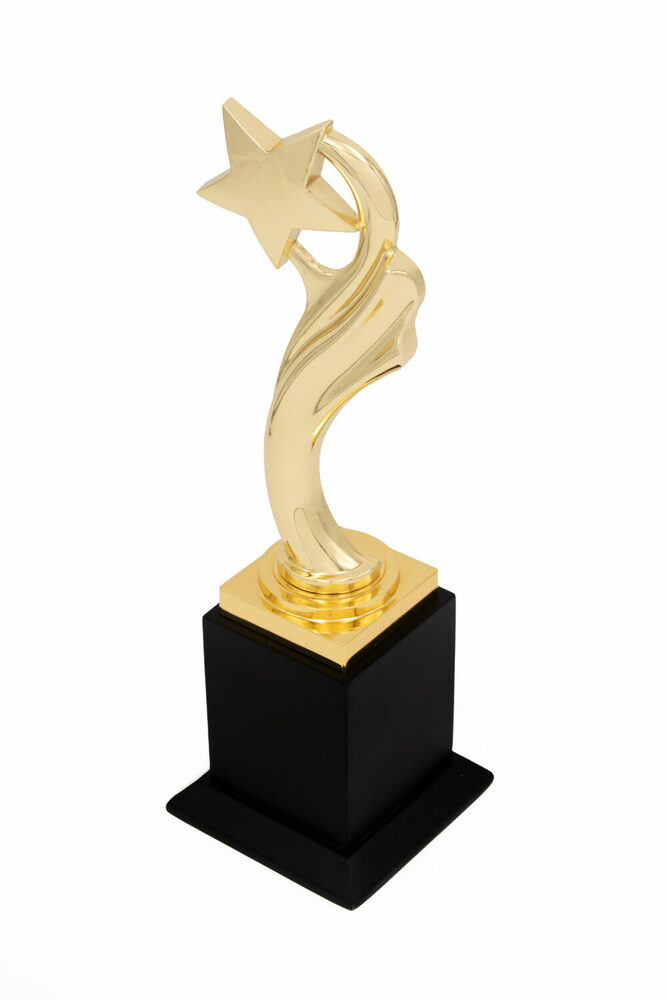 Haven Star-1031-G Award