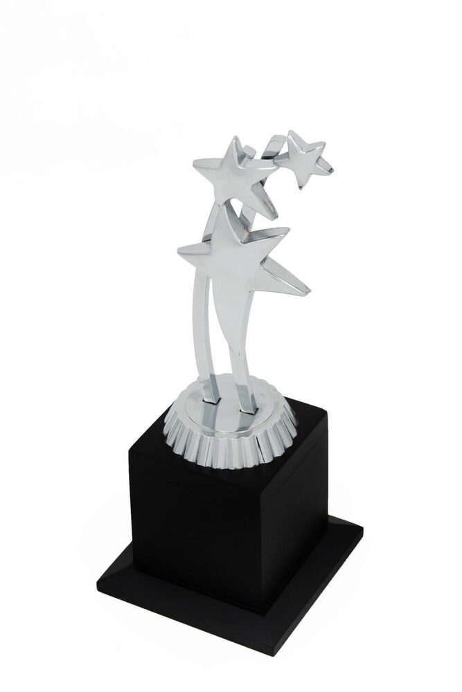 Corporate Star-1029-S Award