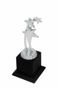 Corporate Star-1029-S Award