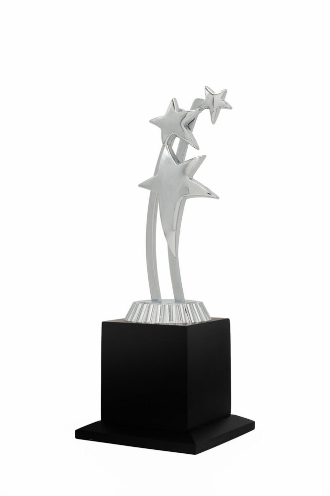 Corporate Star-1029-S Award