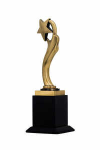 Haven Star-1034-AG Award