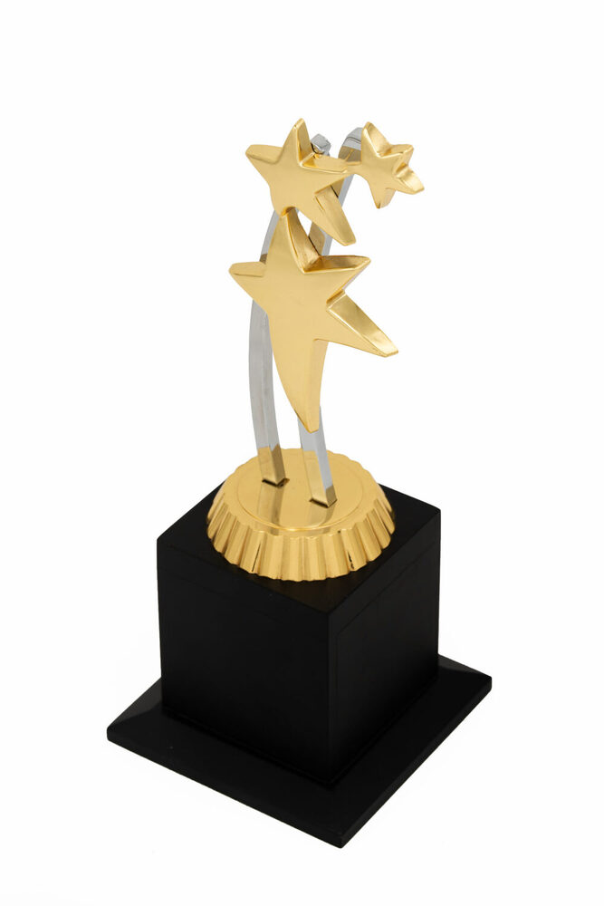 Corporate Star-1028-G Award