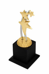 Corporate Star-1028-G Award