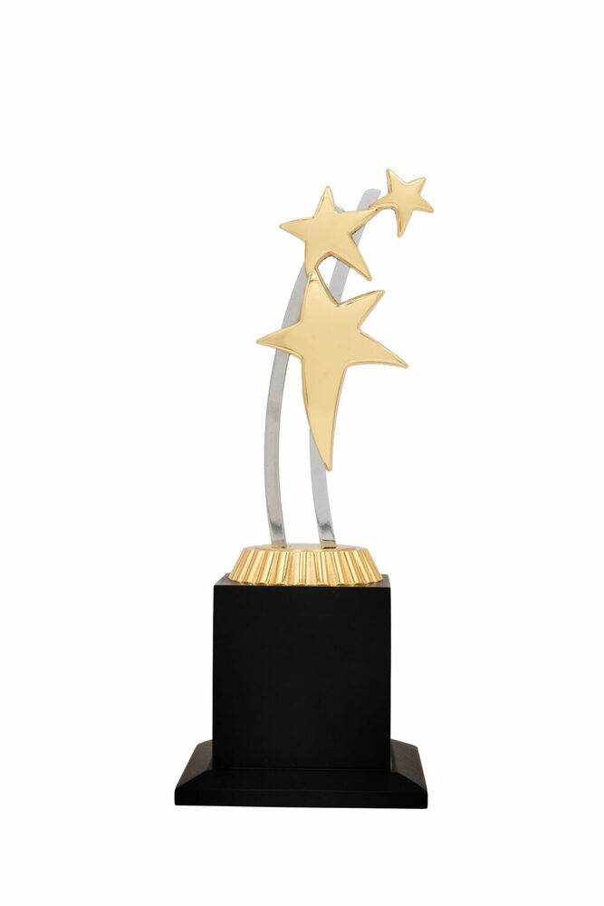 Corporate Star-1028-G Award