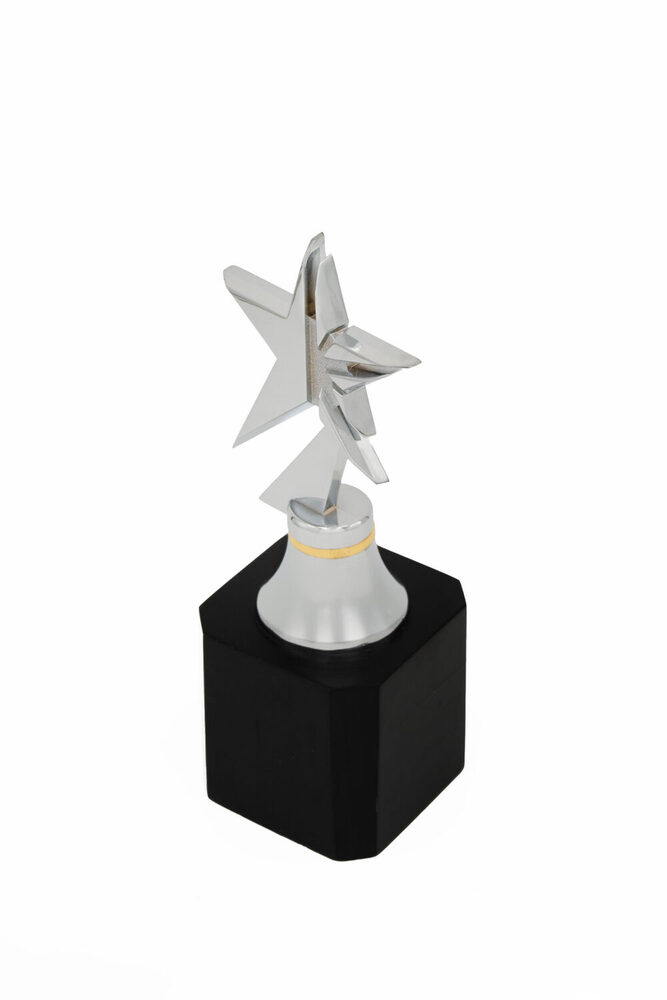 CalvinStar-1036-S Trophy