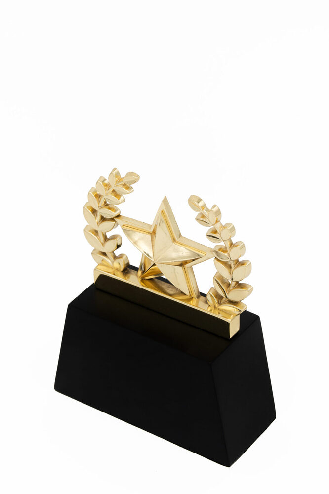 Blaze Star-1038-G Award