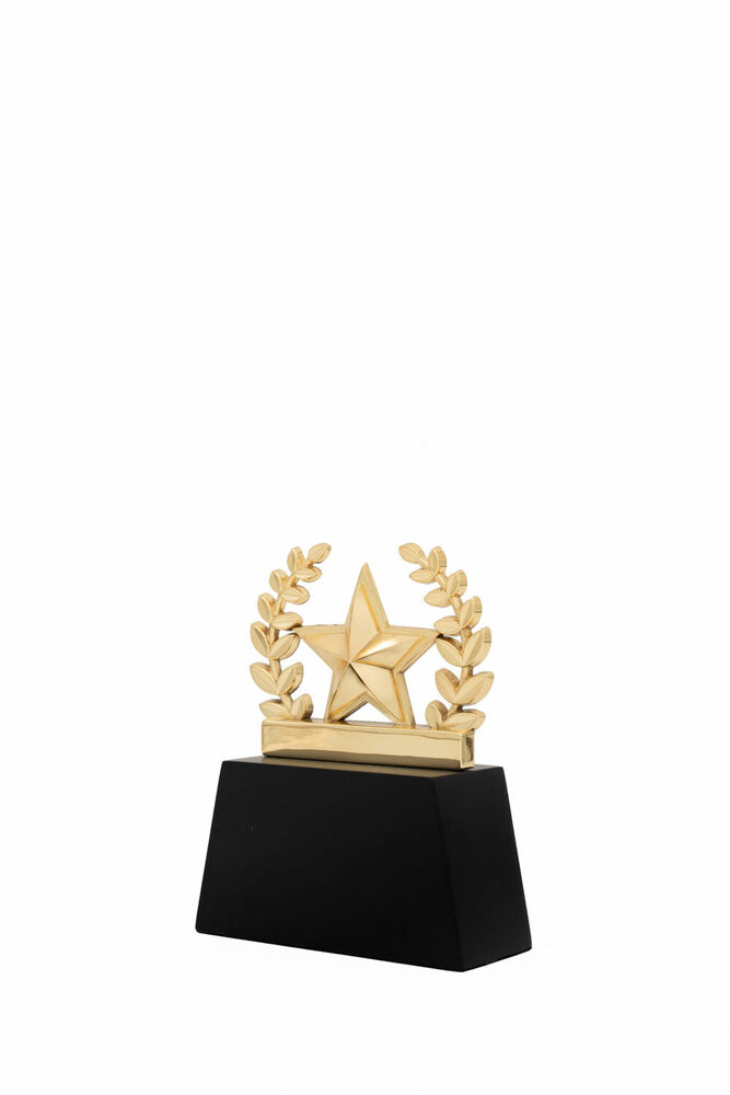 Blaze Star-1038-G Award