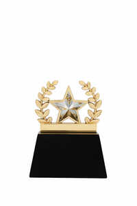 Blaze Star-1039-S Award