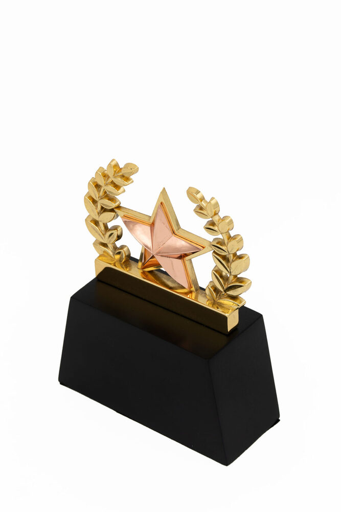 Blaze Star-1040-C Award