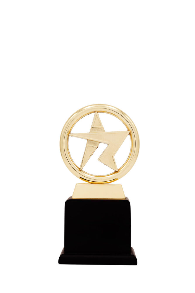 Swift Star-1049-G Award